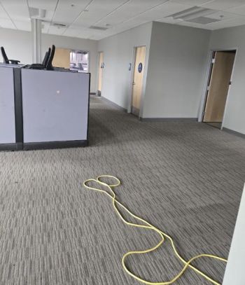 Office hallway with coiled yellow extension cord on carpet beside cubicles and closed doors
